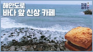 [지금 제주는] NEWS - 인력난에 마늘 농가 걱정 / SELF CAM - 제주 해안도로 바다 앞 신상 카페 / 듀포레 / 오늘 제주의 날씨 / 210427