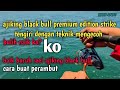 ajiking black bull selepas sebulan, strike tengiri,cara buat perambut steel reel mampu milik ok ko