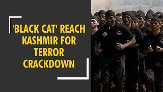 'Black Cat' commandos to be deployed in J\u0026K anti-terror operations