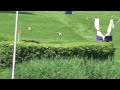 coursing argovia 2018 whippet english rose vis a vis