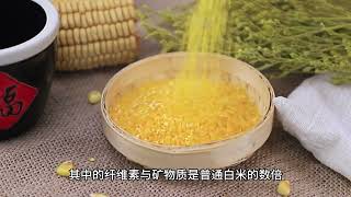 素时刻五谷膳食的养生之道