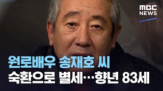 원로배우 송재호 씨 숙환으로 별세…향년 83세 (2020.11.08/뉴스투데이/MBC)