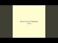 Aurora Forest Fragments