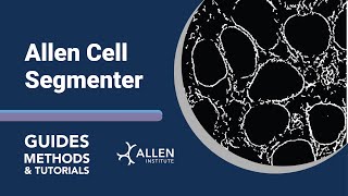 Allen Cell Segmenter | Tutorial