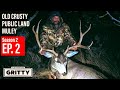 SEASON 2 | EP 2 | OLD CRUSTY PUBLIC LAND MULEY | GRITTY FILMS | 4K