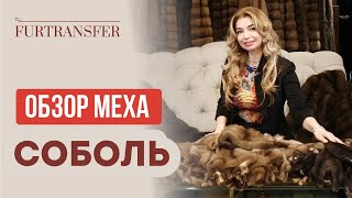 Обзор меха для шуб из соболя в Стамбуле