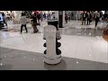 ガストから迷子になった？ イオンモールにネコちゃんロボット