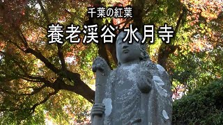 千葉の紅葉 養老渓谷　水月寺