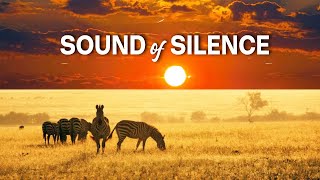 The Sound of Silence / LAS 200 MELODÍAS MÁS HERMOSAS DE LA HISTORIA DEL MUSICA