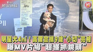 明星犬4ni！高爾宣攜9歲「小切」亮相 曝MV片場「超懂抓鏡頭」｜TVBS新聞 @tvbsforfun