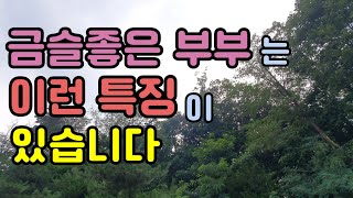 [좋은 부부금슬]부부금슬의 4가지 유형