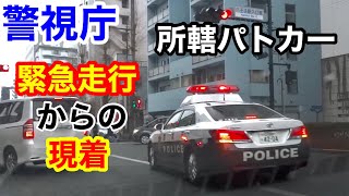 【緊急走行】警視庁 所轄パトカー 緊急走行で現着