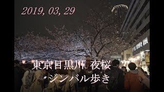 [4K Cherry Blossoms] 東京目黒川 夜の桜並木をジンバル歩き