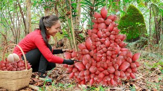 Harvesting SALAK \u0026 Go to Market Sell | Living off grid in forest | Emma Daily Life