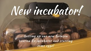 New incubator! Setting up our NEW Brinsea Ovation Ex 28.