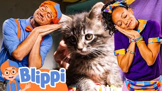 Cute animals! Blippi | Kids TV Shows | Cartoons For Kids | Fun Anime | Popular video