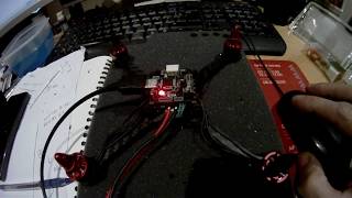 racerstar BR1306 4000kv - what to expect?