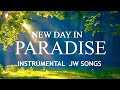 New day in Paradise - Beautiful Peaceful music - JW SONGS