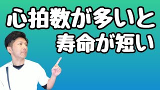 心拍数が多いと寿命が短い