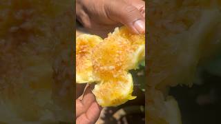 Honey Fig | Yellow Fig | அத்தி பூ 🌼| அத்திப்பழம் #tamilshorts #shortsvideo #allwinjilly