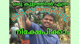 ഒരു കുളത്തിൽ എത്ര മീൻ കുഞ്ഞുങ്ങളെ നിക്ഷേപിക്കാം.