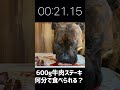 大食い犬asmr巨大ステーキを秒殺する【切り抜き】 shorts 　dog eats raw meat and bones