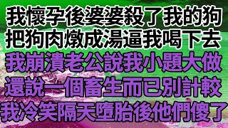 我懷孕後婆婆殺了我的狗，把狗肉燉成湯逼我喝下去，我崩潰老公說我小題大做，還說一個畜生而已別計較，我冷笑隔天墮胎後他們傻了！#家庭#情感故事 #中老年生活 #中老年 #深夜故事 【孤燈伴長情】