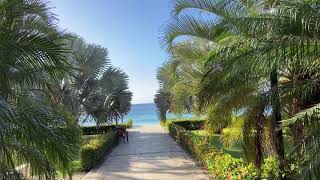 Hispaniola Beach -  Beach area pools and lounge areas