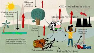 Animasi Penjelasan Siklus Daur Karbon (Carbon Cycle) Singkat dan Jelas