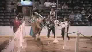 Some killer hits jousting!!