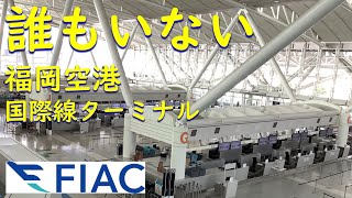 【誰もいない】福岡空港国際線ターミナル【ガラガラ】