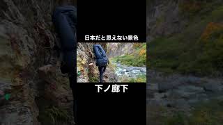 【下ノ廊下2022】紅葉の中を歩く #shorts #登山 #下ノ廊下