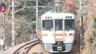 飯田線伊那小沢駅に入線する313系 2021年1月8日撮影