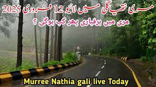 murree live today | murree snowfall today | nathia gali today | #murree weather today  #2025