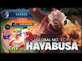 SAVAGE PERFECT!! 24 KILLS No Mercy. Crix Global No. 1 of Hayabusa - Mobile Legends: Bang Bang