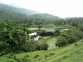 rain raga raga megh pt.rattan mohan sharma bandish and tarana.