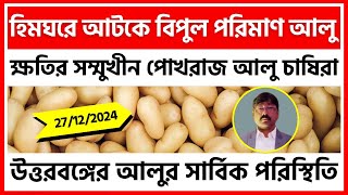 27/12/2024 : উত্তরবঙ্গের আলুর দাম ও চাষের খবর | Potato price and Farming News in North Bengal