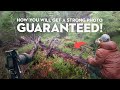 STRONG PHOTO Guaranteed! This is How!