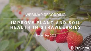 Improve Soil & Plant Health in Strawberries (Webinar Recording)
