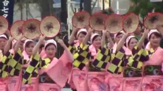 山形花笠まつり 東北六魂祭 TOKYO SHINTORA MATSURI 東京新虎まつり2016