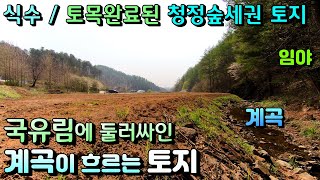 계곡과 산접한  국유림 속  독립적인 양평토지매매! / 부지 164평, 335평, 평당 66만원, 답 / 지하수, 토목된 청정숲세권 단월면 부안리 토지급매 [매번 -17579]