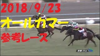 【2018/9/23】産経賞オールカマー　　参考レース