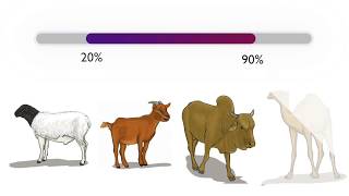 Rift Valley fever: Occurrence patterns, signs and symptoms