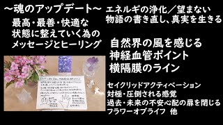 【次元上昇】エネルギーの浄化・望まない物語を描き直し真実を生きる/自然の風を感じる【ヒーリング】セイクリッドアクティベーション・フラワーオブライフ・過去・未来の不安恐怖の扉を閉じる