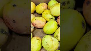 #মৌসুমি ফল কি আমেরিকা পাওয়া যায়#bengali popular fruits in American#fruits#open market#tasty#shoorts