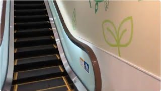 【フジテック】1X エスカレーター　サミット踊場駅前店 1X new escalator Summit Supermarket Odoriba Yokohama Kanagawa Japan