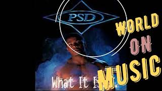 PSD - The Way We Roll Feat Dubee  (Remixx)