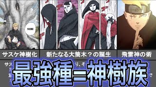 ボルト最新話84感想＆考察！ サスケの生存が確定！ 大筒木を超える最強の一族「神樹族」が強すぎてヤバい…！ ボルトが飛雷神の術を習得！ 淨眼はいつ開眼するのか！？