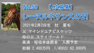 募集No.58_レーヌルネサンスの21（父：マインドユアビスケッツ）