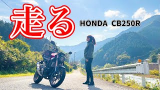 【バイク女子】この極寒の真冬に、めっちゃツーリング日和の動画で良い気分になってみよう！#cb250r #honda #bike